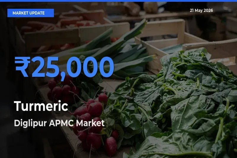 Market Watch: Diglipur APMC Becomes Top Mandi for Turmeric