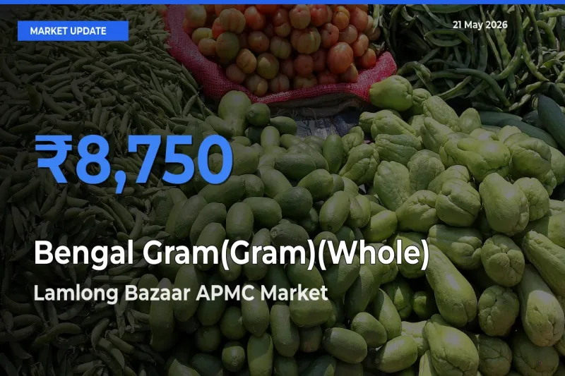 Lamlong Bazaar APMC Offers ₹8,750 – Highest Bengal Gram(Gram)(Whole) Rate Today