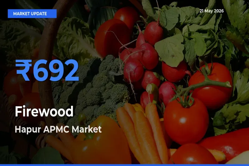 Hapur APMC Leads as Top Mandi for Firewood Prices