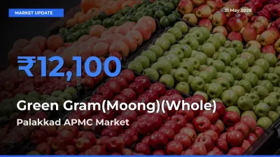 Palakkad APMC Emerges as Top Mandi for Green Gram(Moong)(Whole) Prices Today