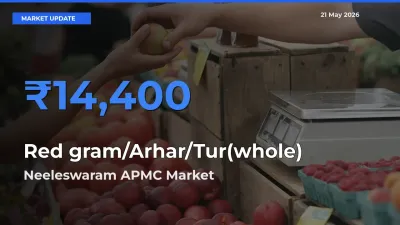 Top Performer! Neeleswaram APMC Offers Best Red gram/Arhar/Tur(whole) Price Today