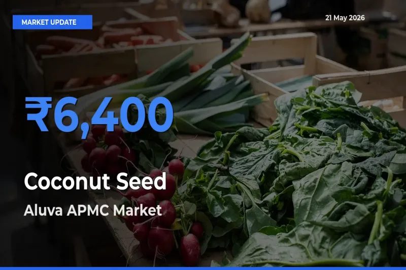 Aluva APMC Emerges as Top Mandi for Coconut Seed Prices Today