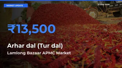 Lamlong Bazaar APMC Tops Arhar dal (Tur dal) Rates – May 21 Market Update