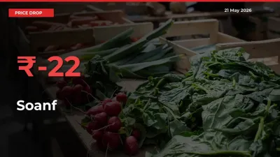 Soanf Mandi Rate Today: Prices Fall 21.99% at Market