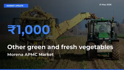 Morena APMC Tops Other green and fresh vegetables Rates – May 21 Market Update