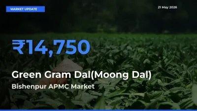 Bishenpur APMC Emerges as Top Mandi for Green Gram Dal(Moong Dal) Prices Today
