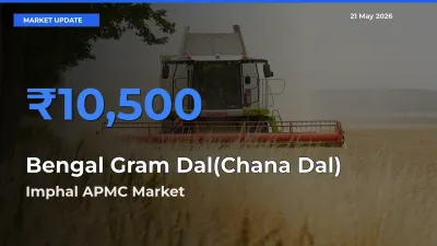Farmers Prefer Imphal APMC as Bengal Gram Dal(Chana Dal) Hits Highest Rate