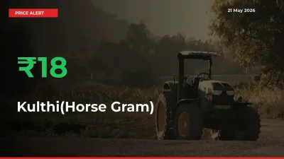 Why Kulthi(Horse Gram) Prices Rose 18.14% in a Day at Mandis