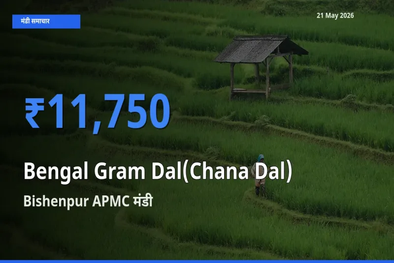किसानों की पसंद बना Bishenpur APMC, चना दाल के सबसे अच्छे दाम