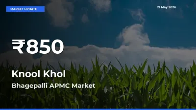 Knool Khol Hits 30-Day Low in Bhagepalli APMC