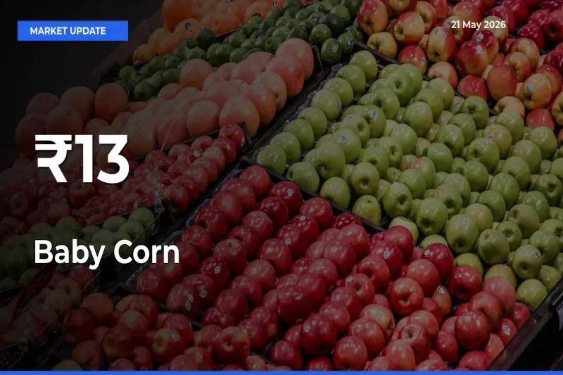 Baby Corn Mandi Trend Today: Prices Shift Across Multiple Markets