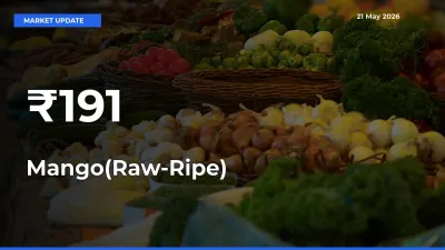 Strong Trend in Mango(Raw-Ripe) Rates Across Multiple Mandis – What It Means for Traders
