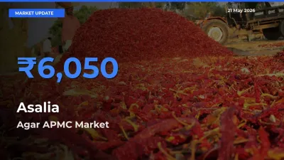 Farmers Prefer Agar APMC as Asalia Hits Highest Rate