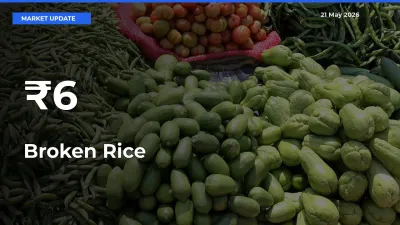 Broken Rice Mandi Trend Today: Prices Shift Across Multiple Markets