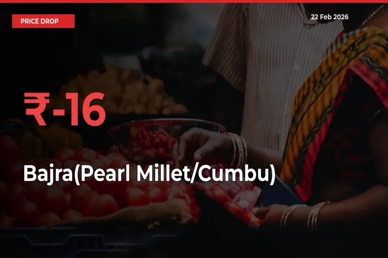 15.7% Drop in Bajra(Pearl Millet/Cumbu) Prices – Mandi Sees Sudden Fall