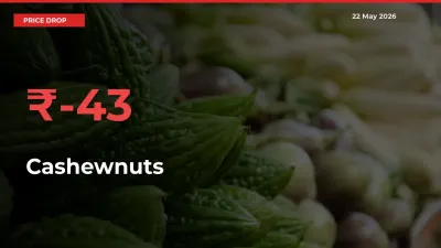 Cashewnuts Falls 42.82% at Mandis