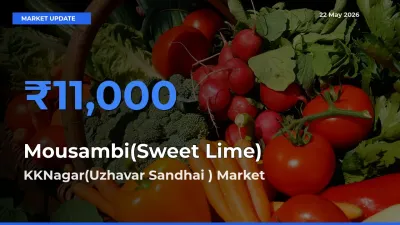 Farmers Prefer KKNagar(Uzhavar Sandhai ) as Mousambi(Sweet Lime) Hits Highest Rate