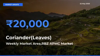 Coriander(Leaves) Mandi Rate Today: Weekly Market Area,RBZ APMC Tops the List