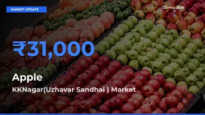 Apple Mandi Rate Today: KKNagar(Uzhavar Sandhai ) Tops the List
