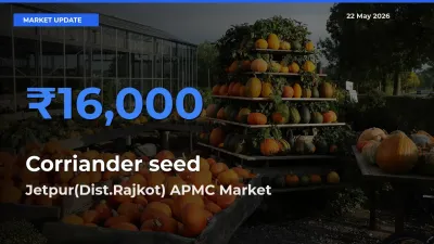 Jetpur(Dist.Rajkot) APMC Tops Corriander seed Mandi Rates Today