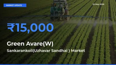 Market Watch: Sankarankoil(Uzhavar Sandhai ) Becomes Top Mandi for Green Avare(W)