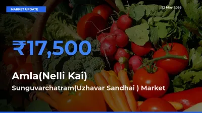 Sunguvarchatram(Uzhavar Sandhai ) Leads as Top Mandi for Amla(Nelli Kai) Prices