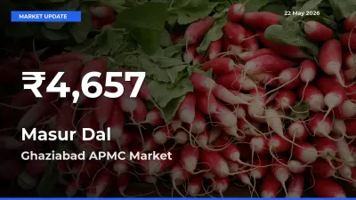 Masur Dal Hits 30-Day Low in Ghaziabad APMC