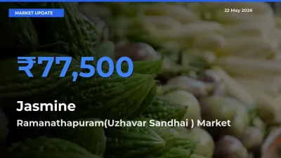 Ramanathapuram(Uzhavar Sandhai ) Tops Jasmine Rates – May 22 Market Update