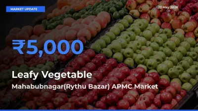 Mahabubnagar(Rythu Bazar) APMC Tops Leafy Vegetable Mandi Rates Today