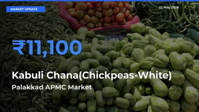 Palakkad APMC Emerges as Top Mandi for Kabuli Chana(Chickpeas-White) Prices Today