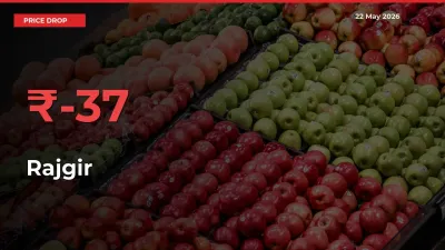 Why Rajgir Prices Fell 37.1% in a Day at Mandis
