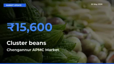 Chengannur APMC Tops Cluster beans Rates – May 22 Market Update
