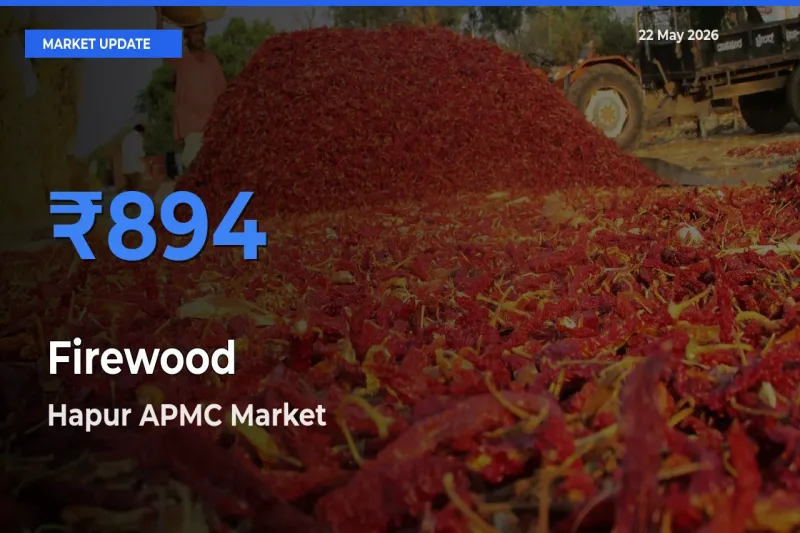 Farmers Prefer Hapur APMC as Firewood Hits Highest Rate