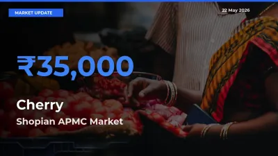 Shopian APMC Tops Cherry Mandi Rates Today