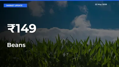 Beans Mandi Prices Move in Sync Across Major Markets Today