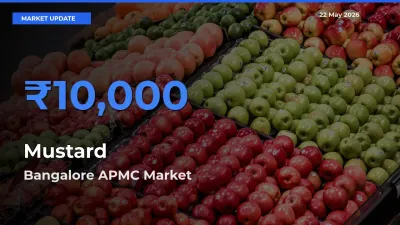 Market Watch: Bangalore APMC Becomes Top Mandi for Mustard