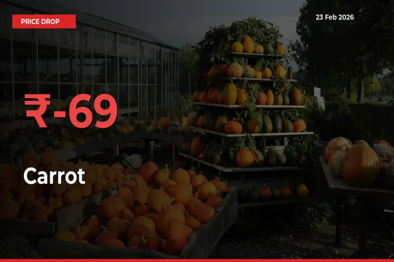 Carrot Mandi Rate Today: Prices Fall 69.08% at Market