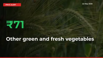 Big Rally! Other green and fresh vegetables Climbs 70.59% in 24 Hours at Top Mandis