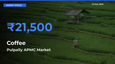 Pulpally APMC Leads as Top Mandi for Coffee Prices