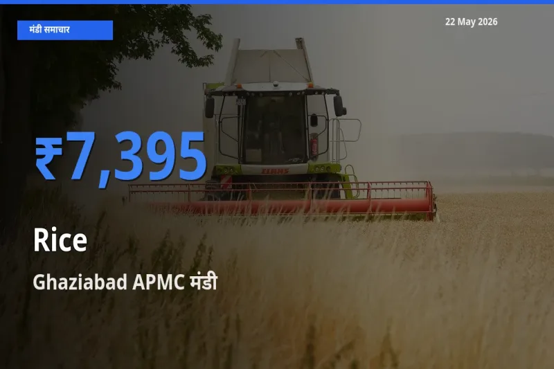बाज़ार संकेत: Ghaziabad APMC बना चावल के लिए आज की टॉप मंडी