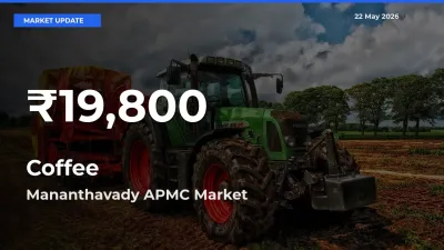 Coffee Hits 30-Day Low in Mananthavady APMC