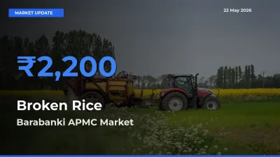 Barabanki APMC Tops Broken Rice Rates – May 22 Market Update