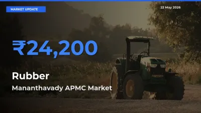 Farmers Prefer Mananthavady APMC as Rubber Hits Highest Rate