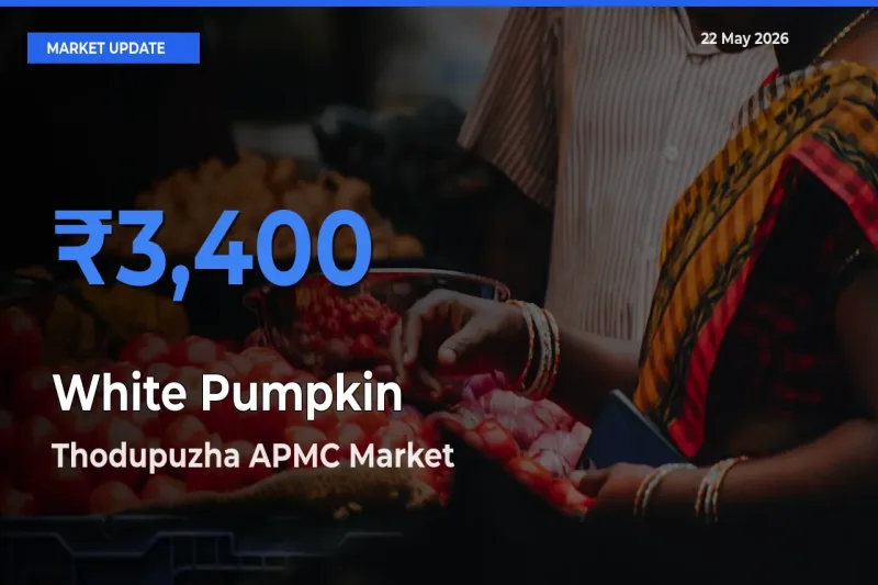 Thodupuzha APMC Leads as Top Mandi for White Pumpkin Prices