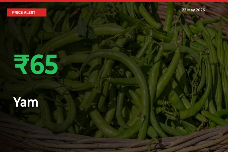 Why Yam Prices Rose 65.25% in a Day at Mandis