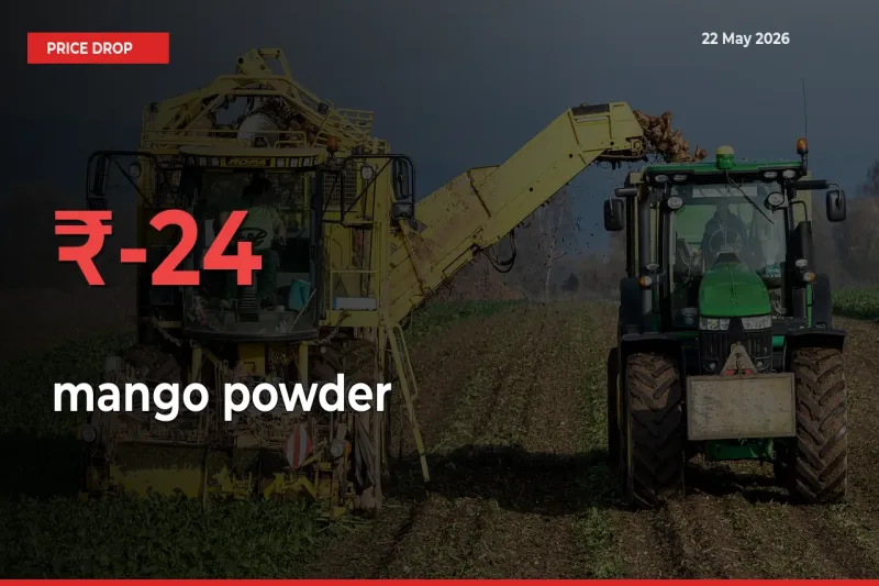 mango powder Prices Drop 23.9% – May 22 Market Update from Mandis