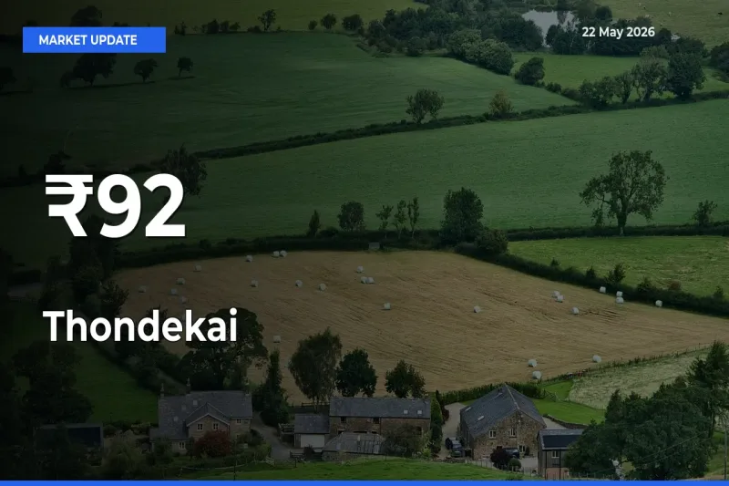 Thondekai Shows Strong Mandi Trend – May 22 Market Update
