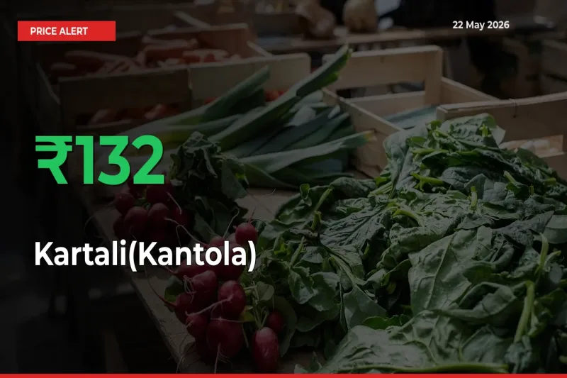Big Rally! Kartali(Kantola) Climbs 131.62% in 24 Hours at Top Mandis