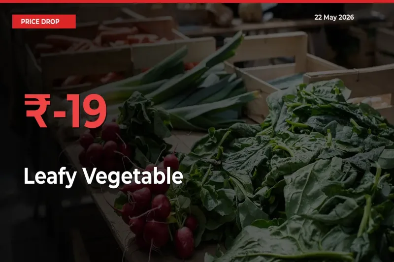 Leafy Vegetable Prices Drop 18.69% in 24 Hours at Major Mandis