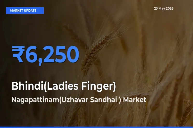 Nagapattinam(Uzhavar Sandhai ) Offers ₹6,250 – Highest Bhindi(Ladies Finger) Rate Today